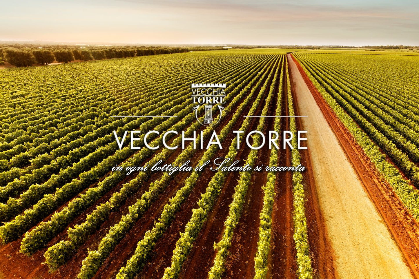 Vecchia torre eccellenze 50° anniversario rosso IGP Salento 2023