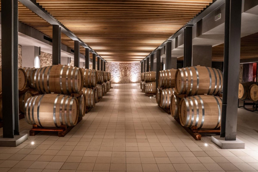Vecchia torre eccellenze barocco reale Barricaded IGP Salento Primitivo 2020